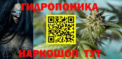 прущие грибы Комсомольск-на-Амуре
