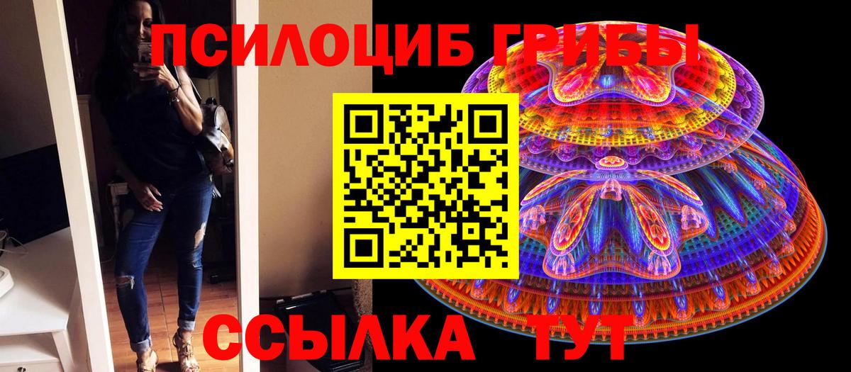 Псилоцибиновые грибы Cubensis  Псилоцибиновые грибы ЛСД  Вход с VPN  Костомукша 